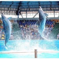 Гостиница Аква-Вита, Небуг, Краснодарский край