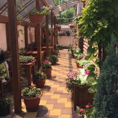 Гостиница Казачок, Невинномысск, Ставропольский край