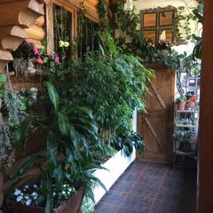 Гостиница Казачок, Невинномысск, Ставропольский край