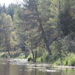 База отдыха Ладья, Осташковский район, Тверская область