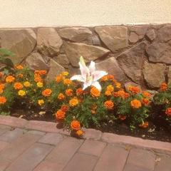 Отель Андол, Немчиновка, Московская область