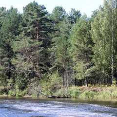 База отдыха Ладья, Осташковский район, Тверская область