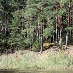 База отдыха Ладья, Осташковский район, Тверская область