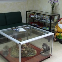 База отдыха Ладья, Осташковский район, Тверская область