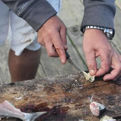 Гостиница Нестерово, Нестерово, Московская область