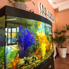 Отель Зеленый мыс, Невинномысск, Ставропольский край