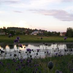 Гостиница Нестерово, Нестерово, Московская область