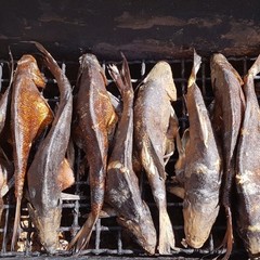 База отдыха Перепелиный остров, Нефтино, Ярославская область