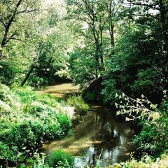 База отдыха Хопёр, Нижнее Голицыно, Саратовская область