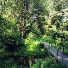 База отдыха Хопёр, Нижнее Голицыно, Саратовская область