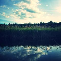 Отель Полуостров на Селигере, Нижние Котицы, Тверская область