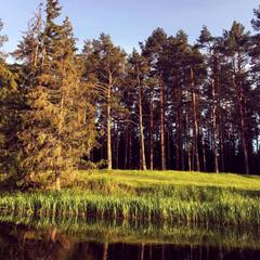 Отель Полуостров на Селигере, Нижние Котицы, Тверская область
