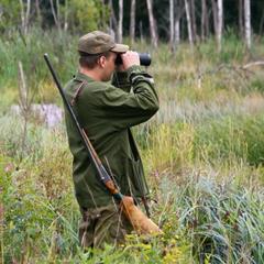 Отель Полуостров на Селигере, Нижние Котицы, Тверская область