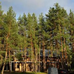 База отдыха Хопёр, Нижнее Голицыно, Саратовская область