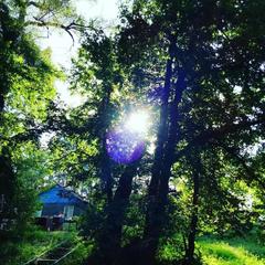 База отдыха Хопёр, Нижнее Голицыно, Саратовская область