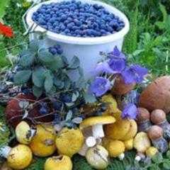 Отель Полуостров на Селигере, Нижние Котицы, Тверская область