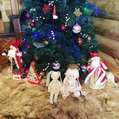 Отель Полуостров на Селигере, Нижние Котицы, Тверская область