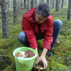 Отель Полуостров на Селигере, Нижние Котицы, Тверская область