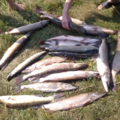 База отдыха Дальний кордон, Нижний Лух, Пермский край