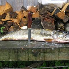 Отель Полуостров на Селигере, Нижние Котицы, Тверская область