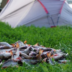 База отдыха Дальний кордон, Нижний Лух, Пермский край