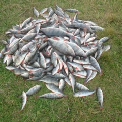 База отдыха Дальний кордон, Нижний Лух, Пермский край