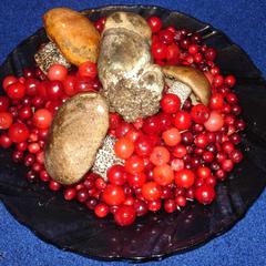 Отель Полуостров на Селигере, Нижние Котицы, Тверская область