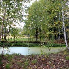 Конно-туристическая база Новая Ельня, Нижние Серги, Свердловская область