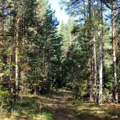 Конно-туристическая база Новая Ельня, Нижние Серги, Свердловская область