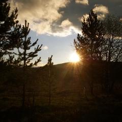 Конно-туристическая база Новая Ельня, Нижние Серги, Свердловская область