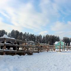 Конно-туристическая база Новая Ельня, Нижние Серги, Свердловская область