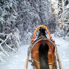 Конно-туристическая база Новая Ельня, Нижние Серги, Свердловская область