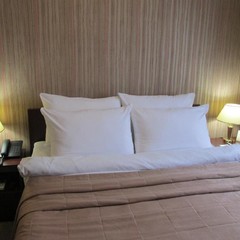 Гостиница Автозаводская, Нижний Новгород, Нижегородская область