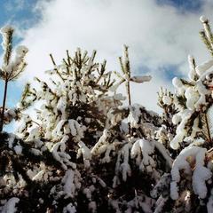 Отель Полуостров на Селигере, Нижние Котицы, Тверская область