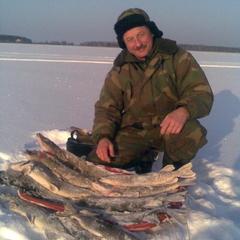 Отель Полуостров на Селигере, Нижние Котицы, Тверская область