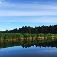 Отель Полуостров на Селигере, Нижние Котицы, Тверская область