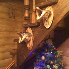 Отель Полуостров на Селигере, Нижние Котицы, Тверская область