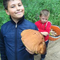 Отель Полуостров на Селигере, Нижние Котицы, Тверская область