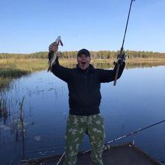 Отель Полуостров на Селигере, Нижние Котицы, Тверская область