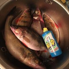 Отель Полуостров на Селигере, Нижние Котицы, Тверская область