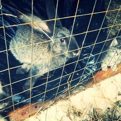 Отель Полуостров на Селигере, Нижние Котицы, Тверская область