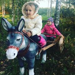 Отель Полуостров на Селигере, Нижние Котицы, Тверская область