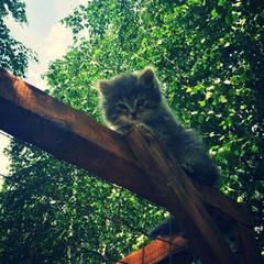 Отель Полуостров на Селигере, Нижние Котицы, Тверская область