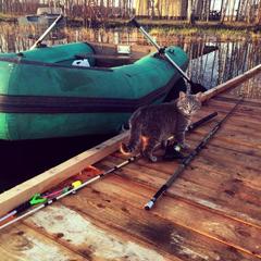 Отель Полуостров на Селигере, Нижние Котицы, Тверская область