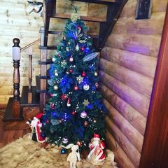 Отель Полуостров на Селигере, Нижние Котицы, Тверская область