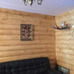 Отель Полуостров на Селигере, Нижние Котицы, Тверская область