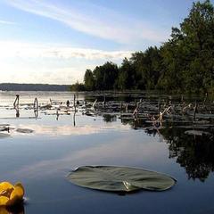 Отель Полуостров на Селигере, Нижние Котицы, Тверская область