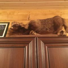 Отель Полуостров на Селигере, Нижние Котицы, Тверская область