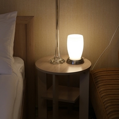 Отель Астра, Нижний Новгород, Нижегородская область