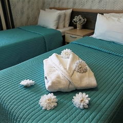 Отель Астра, Нижний Новгород, Нижегородская область